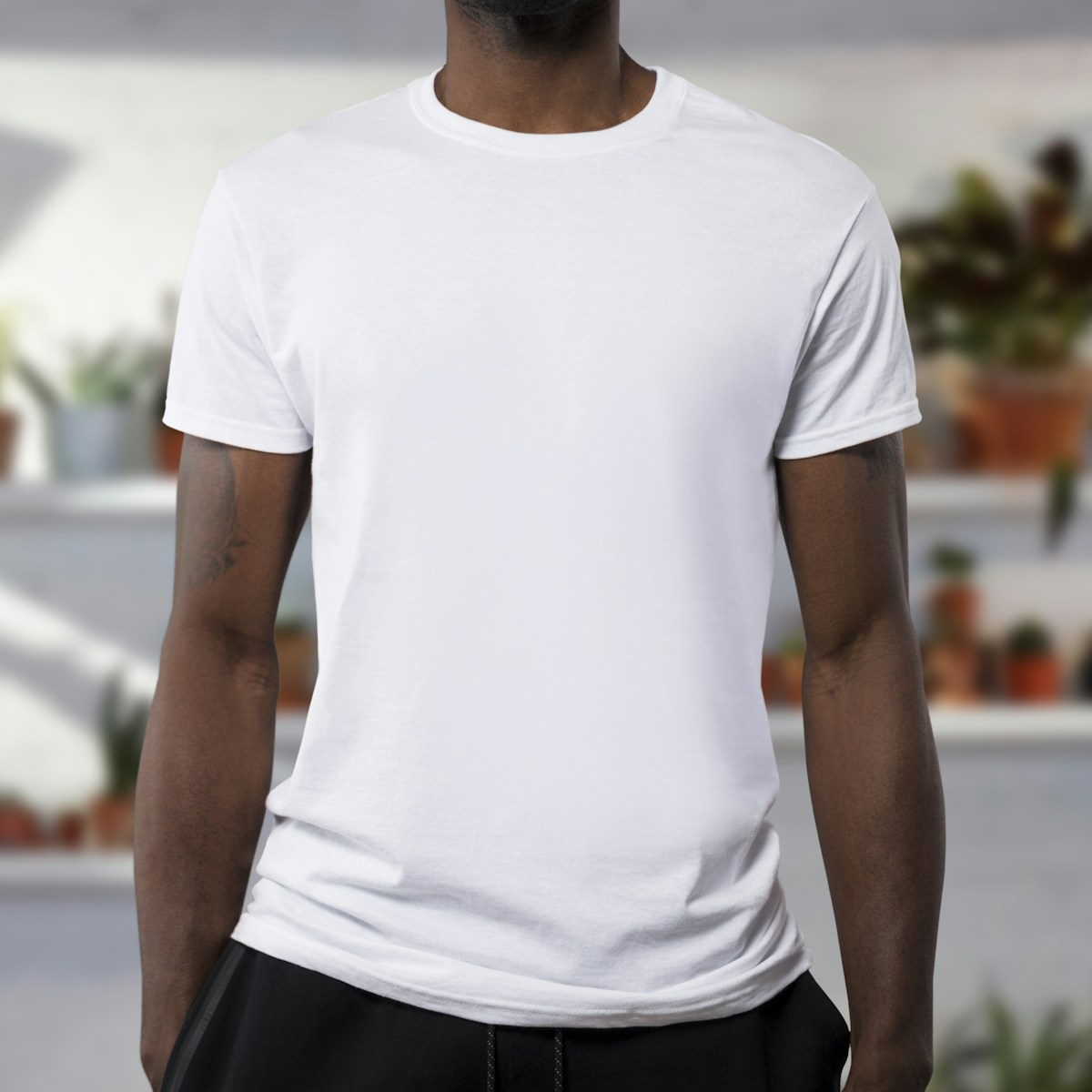 Camiseta Cotton Premium